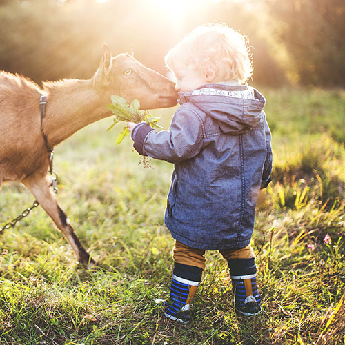 raising_free_range_kids